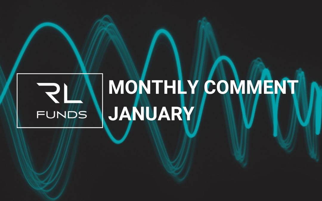 Monthly comment January