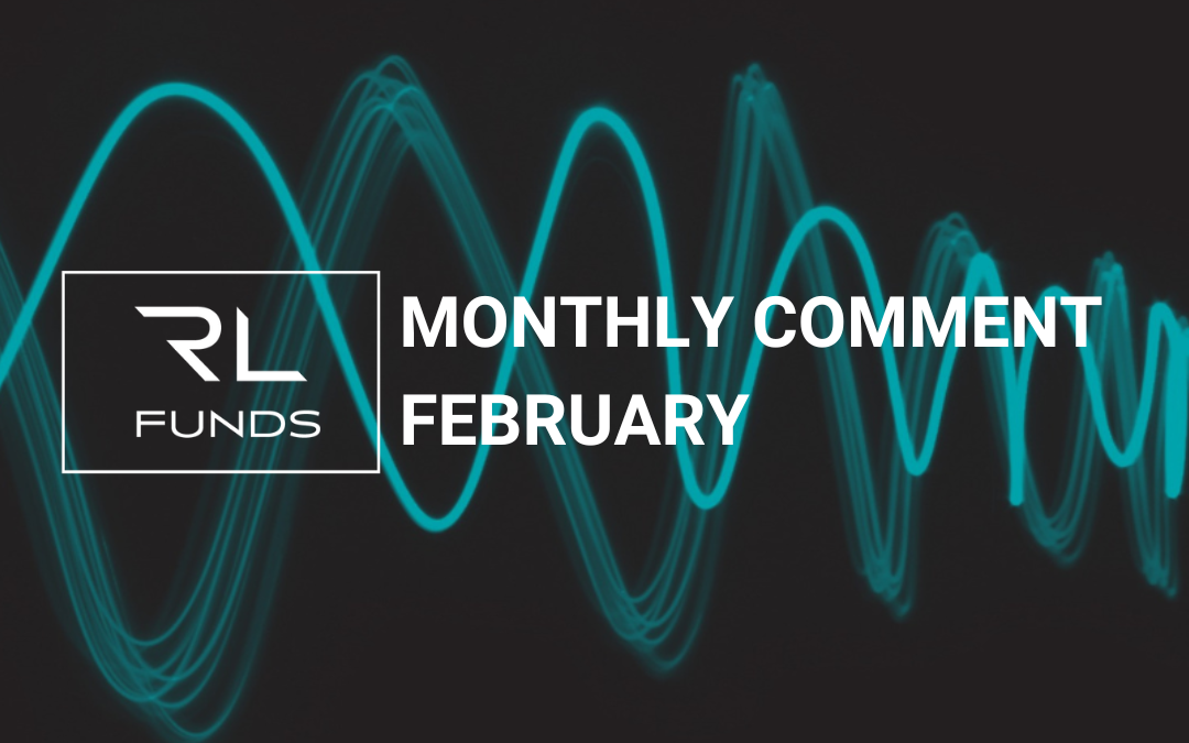 MONTHLY COMMENT FEBRUARY